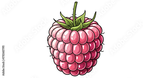 Vibrant pink raspberry illustration with detailed halftone texture, isolated on a clean white background, showcasing its natural, juicy form and fresh green leaves, perfect for food and
