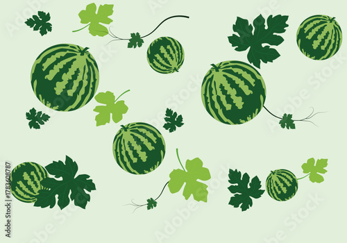 illustration of watermelon