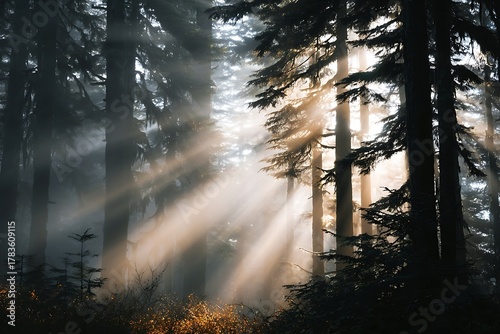 Mystical forest bathing experience with ethereal sunbeams piercing through ancient trees, creating a serene and magical atmosphere.