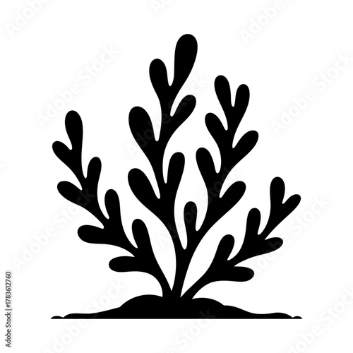organic seaweed silhouette with flowing branches and natural underwater foliage for marine design