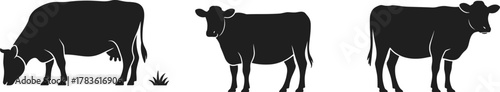Cow silhouette grazing standing farm animal livestock cattle herd illustration black vector design agriculture nature rural pasture grassland icon