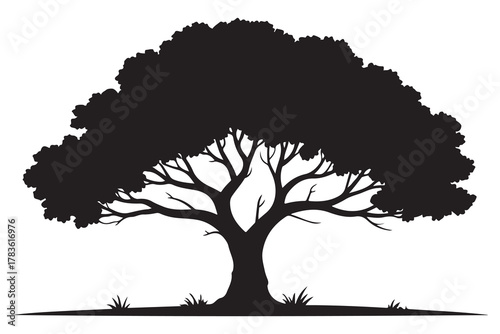 Large tree silhouette icon with spreading branches and dense foliage in bold black design
