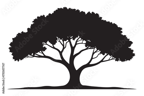 Large tree silhouette icon with spreading branches and dense foliage in bold black design
