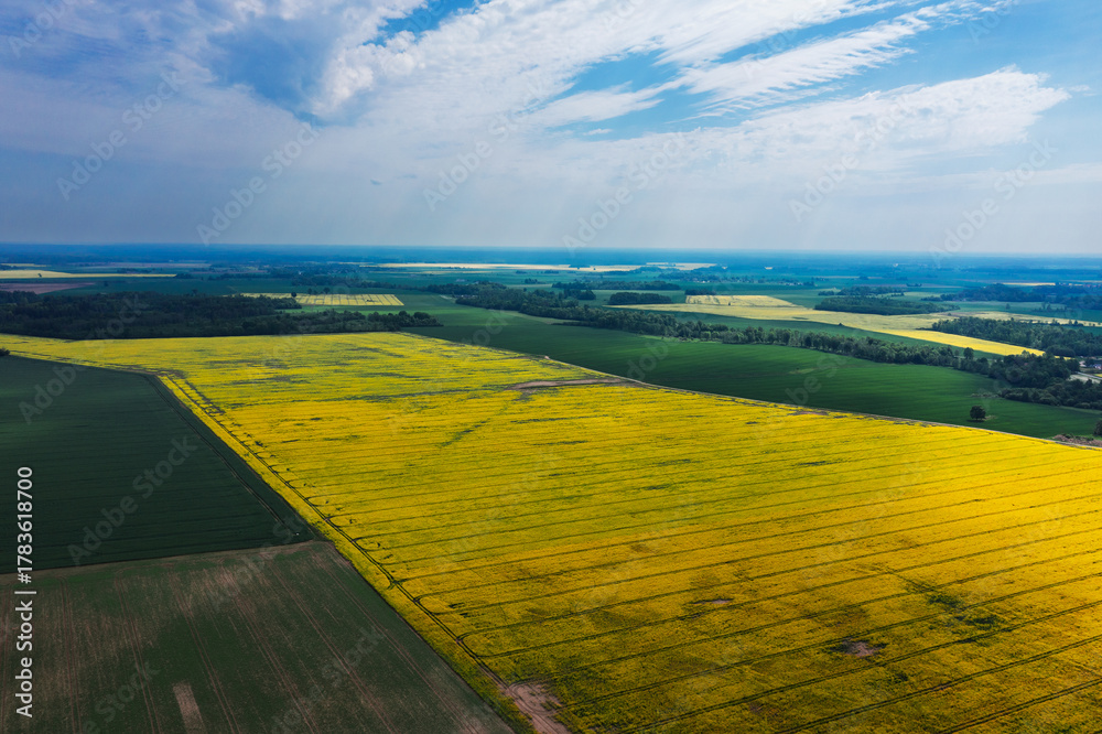 Fototapeta premium Midsummer landscape of Latvia countryside.