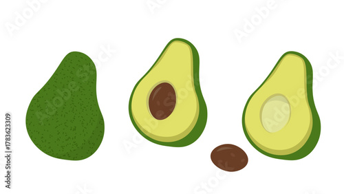 Fresh avocado whole and half fruit with seed flat vector illustration isolated