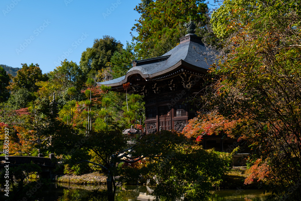 Obraz premium 日本、京都、清涼寺、紅葉、秋、絶景、寺院、文化財、木造建築、古代建築、日本文化、歷史名勝、文化財、木、綠色、青空、写真素材