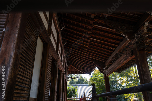 日本、京都、清涼寺、紅葉、秋、絶景、寺院、文化財、木造建築、古代建築、日本文化、歷史名勝、文化財、木、綠色、青空、写真素材