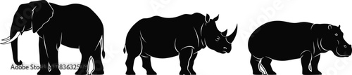 Silhouette comparison of elephant, rhinoceros, and hippopotamus in side profile for wildlife, nature, zoology, and educational vector content