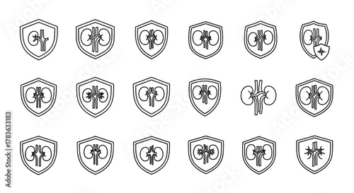 Collection of outline icons representing kidneys within shield shapes, symbolizing health, protection, and medical care. This set includes variations with a heartbeat line, offering versatile graphic