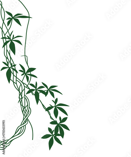 Green vine plant growing tendrils leaves