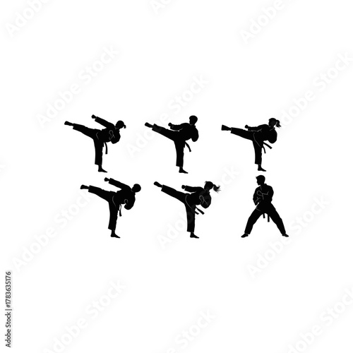Silhouettes of people doing taekwondo kicks. Suitable for sportsrelated designs, martial arts classes materials, fitness posters, and active lifestyle illustrations.