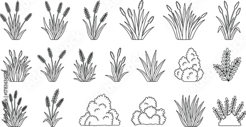 Plant and shrub sketch, botanical line drawing set, foliage variety, landscaping elements, cad drawing, flat vector illustration, black outline
