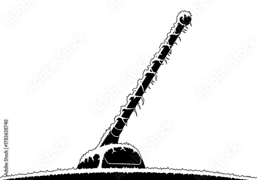 Frosted car antenna on a transparent background