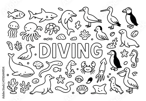 Ocean Animals Doodle