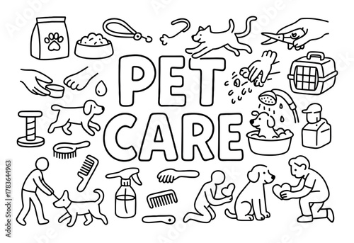 Pet Care Activities