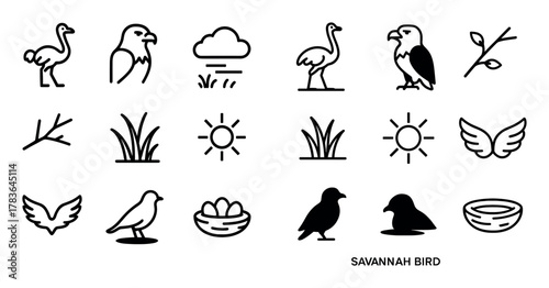 Savannah Bird Icons
