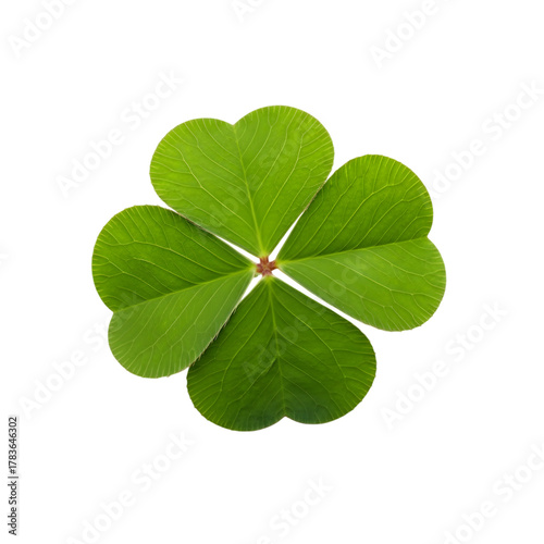Four leaf clover good luck symbol isolated on transparent background