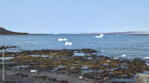 Floating iceberg in the Hay cove close to l'Anse aux Meadows National Historic Site (Hay Cove, Newfoundland, Canada)