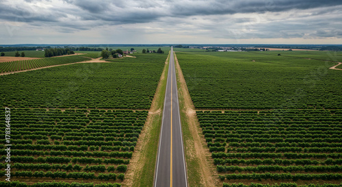 Road Through Tuscany-Style Vineyard Hills Aerial Photography