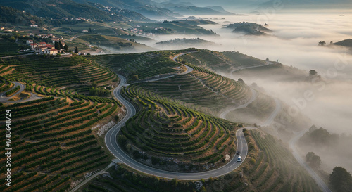 Road Through Tuscany-Style Vineyard Hills Aerial Photography