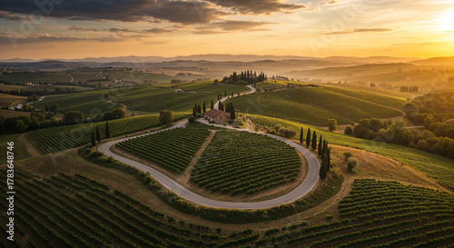 Road Through Tuscany-Style Vineyard Hills Aerial Photography