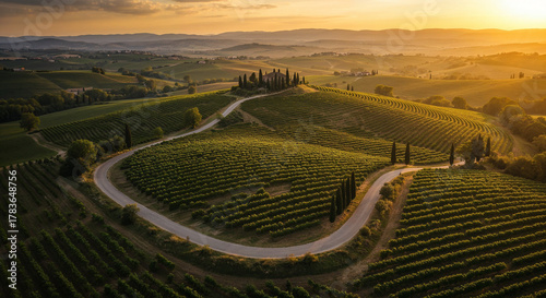 Road Through Tuscany-Style Vineyard Hills Aerial Photography