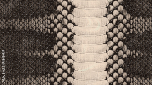 natural buccata snake leather ,leather texture background, crocodile skin texture ,close up of a leather texture, crocodile skin texture, 