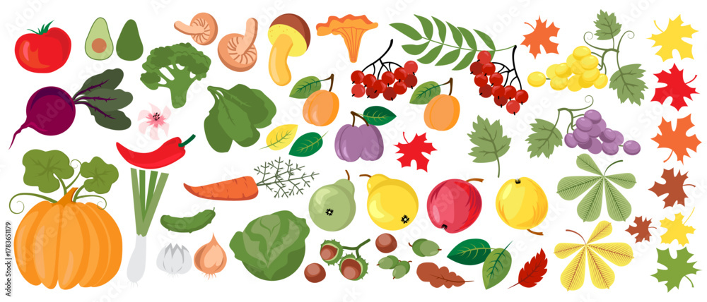 Obraz premium Vector illustrations of autumn objects: fruits and vegetables, harvest, tree leaves, plants, pumpkin. Cute fall set freehand drawings.
