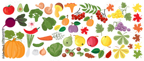 Vector illustrations of autumn objects: fruits and vegetables, harvest, tree leaves, plants, pumpkin. Cute fall set freehand drawings.