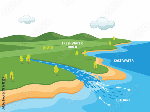 This diagram depicts the interaction between freshwater rivers and saltwater estuaries, visualizing the ecological significance and environmental balance of water bodies in nature.