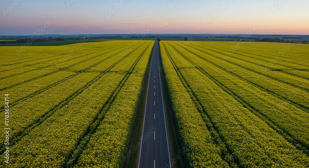 Obraz premium Spring Rapeseed Bloom with Rural Road Aerial Photography