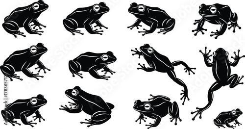 Frog illustration, stylized frog poses, amphibian artwork, frog anatomy drawing, frog movement, frog silhouette, frog design, frog vector, frog art, frog collection