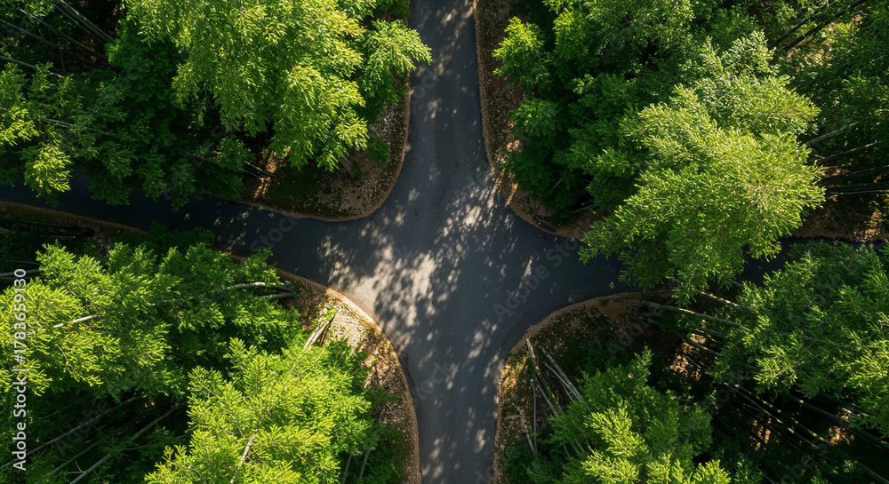 Obraz premium Aerial View of Misty Road Through Dense Bamboo Forest
