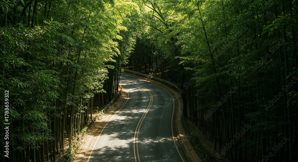 Fototapeta premium Aerial View of Misty Road Through Dense Bamboo Forest