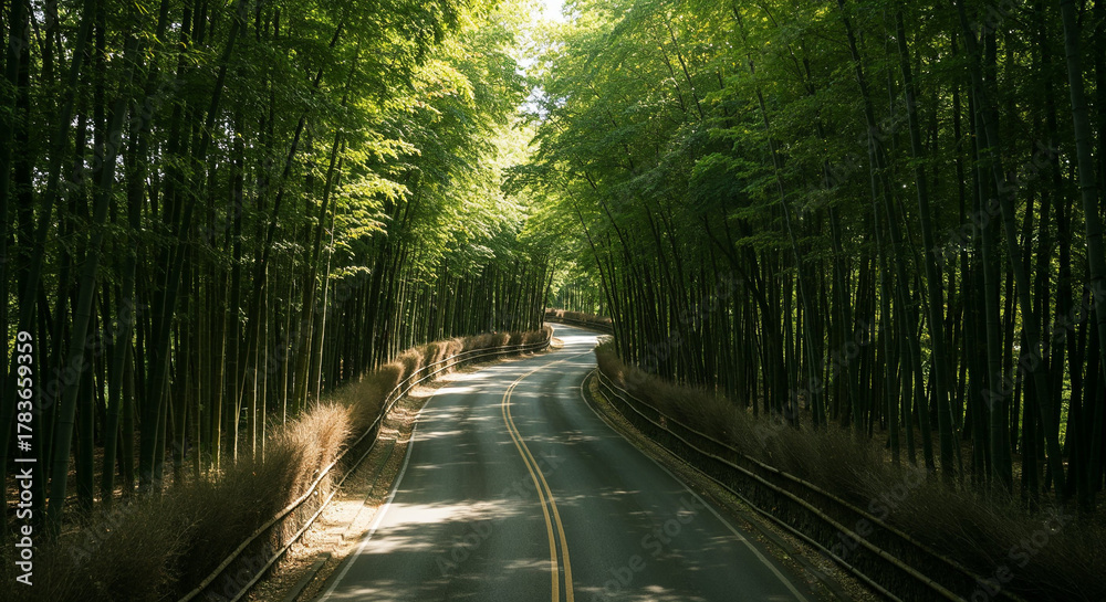 Fototapeta premium Aerial View of Misty Road Through Dense Bamboo Forest