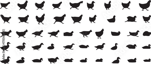 Silhouettes of ducks and chickens walking set