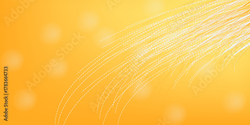 Abstract sunny sky. Bright and warm light.Sunny orange summer background