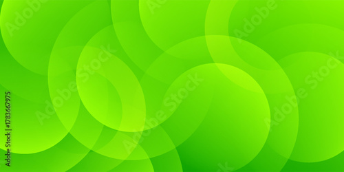 Abstract green background with circles. Dynamic shapes composition. Eps10 vector