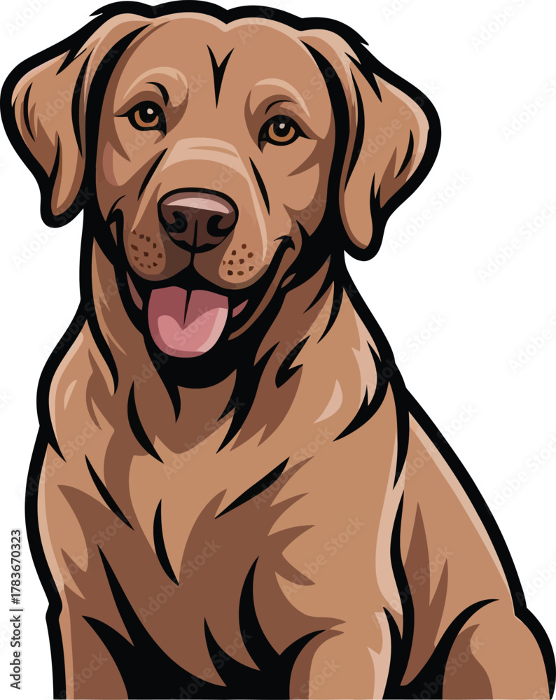 Fototapeta premium Cute cartoon a illustrator vector chesapeake bay retriever 