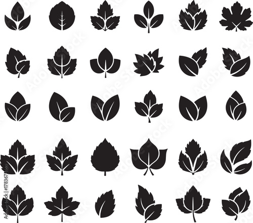 Black and white leaf pattern illustration