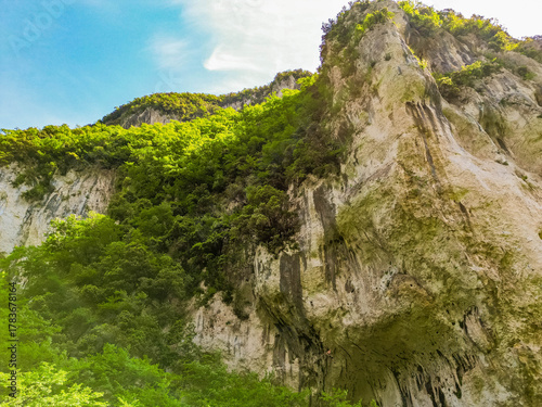 Limestone Cliffs and Lush Green Forest along the Candalla Trails, Camaiore, Tuscany, Italy