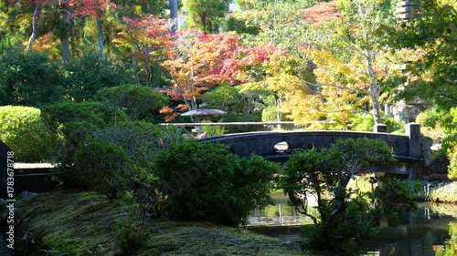 日本、京都、清涼寺、紅葉、秋、絶景、寺院、文化財、木造建築、古代建築、日本文化、歷史名勝、文化財、木、綠色、青空、写真素材