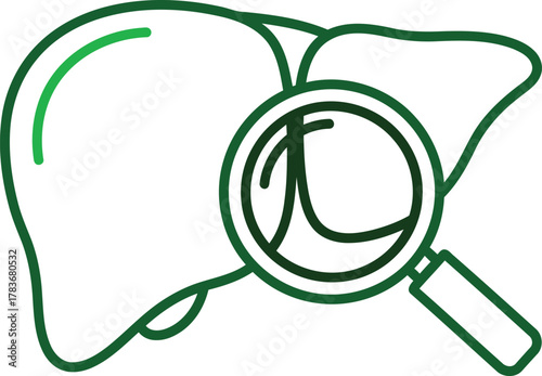 Liver health checkup with magnifying glass symbol vector illustration