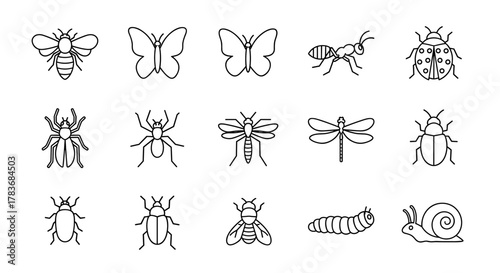 Collection of outline icons representing various insects and arthropods, including a bee, butterflies, ant, ladybug, spider, mosquito, dragonfly, beetles, caterpillar, and snail, perfect for