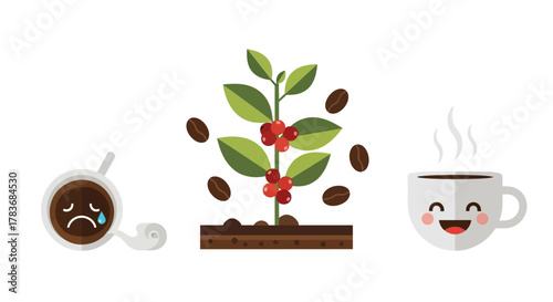 From bean to brew: A visual journey of coffee creation and emotional connection for coffee lovers