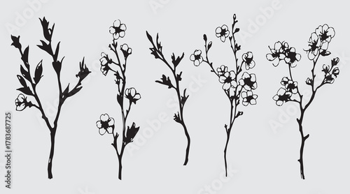 Hand drawn black silhouettes of blooming botanical flower branches