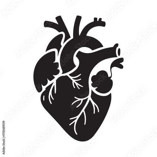 Stylized human heart graphic medical anatomy illustration icon design