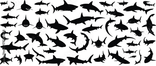 Shark silhouettes collection, black shark icons, marine predator shapes, ocean wildlife graphics, aquatic animal poses, sea creature illustrations, underwater species, shark anatomy references
