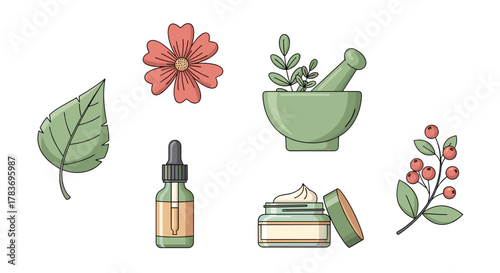 A charming cartoon vector illustration set featuring nature-inspired cosmetic elements on a clean white background, including a delicate flower, a vibrant leaf, a mortar and pestle with herbs, a