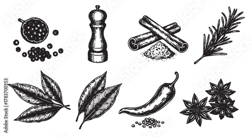 Hand-drawn black and white illustrations of various spices and herbs, including peppercorns, cinnamon sticks, a pepper grinder, rosemary, bay leaves, a chili pepper, and star anise.